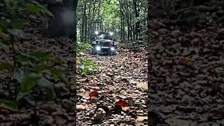 Thar lover's ❤️ #luxury #carlovers #motor crust #subscribe  for more 💥