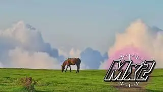 Mx2 014 - Nice Boat REQUIEM (Interspecies Reviewers Spoilercast)