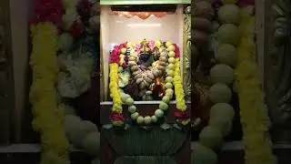 10.01.26 தேய்பிறை அஷ்டமி. ஶ்ரீ ஸ்வர்ண ஆகர்ஷண பைரவர் அபிஷேகம் அலங்காரம் மற்றும் தீபாராதனை.