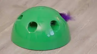 Pop N play