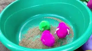  Catch Color Chicken, Cute Chicken, Duck, Rainbow Chicken, Rabbit, Cute Animals