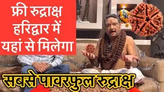 फ्री रुद्राक्ष हरिद्वार में यहा मिलेगा । सबसे पावरफुल रुद्राक्ष#mala #rudraksha #5mukhirudraksha