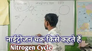 Nitrogen Chakra | nitrogen cycle | nitrogen Chakra Kise Kahate Hain| what is the nitrogen cycle 