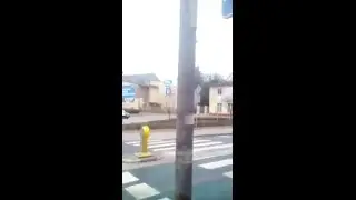 Co ta lampa?