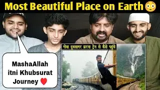 Pakistani Reacts on Dudhsagar falls by train || Most Beautiful Place India