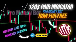 120$ Paid Pro Money Bot Indicator FREE 🔥| Most Accurate Trading Indicator | Top MT4 Signal Tool