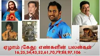 ஏழாம் (கேது) எண்களின் பலன்கள் 16,25,34,43,52,61,70,79,88,97,106 |Astrology in Tamil