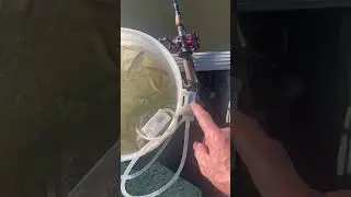 My homemade live bait bucket for shad with fresh water pump and bubbler.
