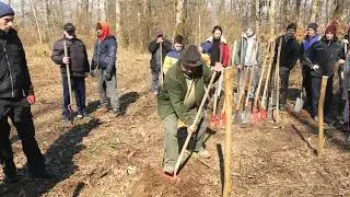 Pamantul stramosesc - plantarea pomilor in padurile din Lipova