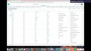 Adding Campaign  members through Report in Lightning
