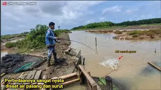 Fix‼️ternyata sangat berbeda disaat air masuk dan air nyurutin//mancing kakap