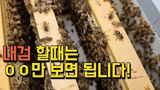 사양기를 달면서 내검을 해봅니다.