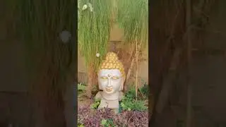 fairy garden decorations  hand paint Buddha turtle and Owl