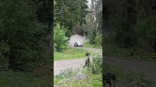 Singing Rally car. Beautiful sound #rally #car #race #rajd #rallycar #rallysm