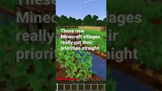 Genius villages in Minecraft #clips #gaming #shorts #funny #minecraft #minecraftshorts