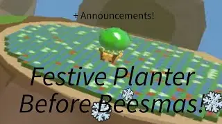 Festive Planter Before Beesmas