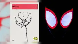 Be Kind, Sunflower | Mashup of Marshmello, Post Malone, Halsey, Swae Lee