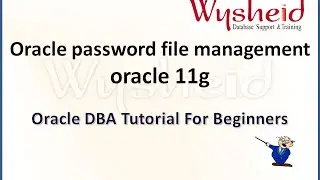 Oracle password file creation and usage  | manage password file in oracle