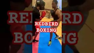 Spar, sweat, succeed 🥊 Join YWCA Redbird Boxing today! DM to sign up. #RedbirdStrong