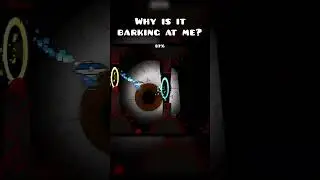 Why is it barking at me???