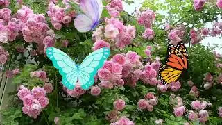Cats game: Catching butterfly 🦋 in garden.