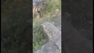 Near samode fort Jaipur Rajasthan