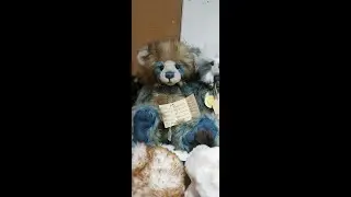 Teddy Bear Heaven: Listen Closely&hellip; They Might Start Dancing! Rare Charlie Bears Collection