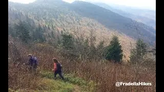 Black Mountain Crest Trail Bolens Creek to Mt Mitchell - Pisgah National Forest, NC
