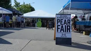 Pear Fair 2025 Event Coverage