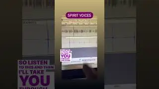 SPIRIT MAKING CONTACT | EVP