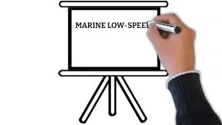 Marine low speed diesel engine systems