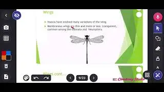 INSECT'S PHYSIOLOGY