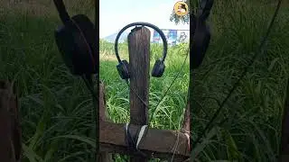 Office Work பண்றதுக்கு இது ஒரு Best Professional Headset🎧 #shorts #professionalheadset #honestreview