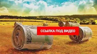 займ без отказа отзывы клиентов