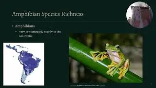 Reptiles and Amphibians: An Evolutionary Review