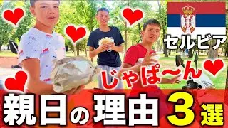 【大好き！】セルビアが隠れ親日国である3つの理由