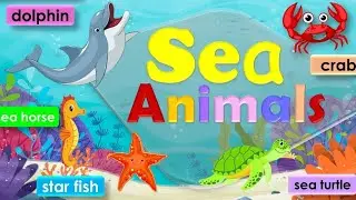 Sea animals| Kids vocabulary| learn names of sea animals| learn and play