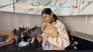 From Chaos to Cuddles | Life With Simba, Kiara & Thumbelina #Simba #Kiara #Thumbelina #FurFamily 