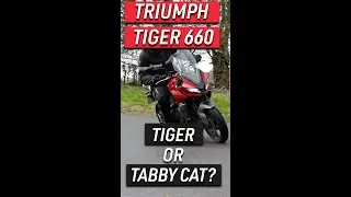Triumph Tiger 660 Sport l Bloopers Reel