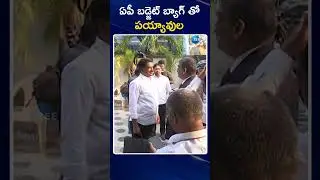 Payyavula Keshav | AP Budget Sessions 2024 | ఏపీ బడ్జెట్ బ్యాగ్ తో పయ్యావుల | ZEE Telugu News