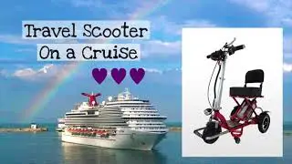 Prepping for a Cruise when Handicapped and Fluffy