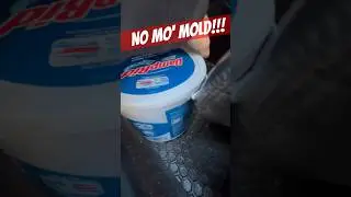 How To Kill Moisture When Storing A Vehicle #carguy