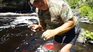 Steph's Fishin' Line - Jocko River specks with Lucky Strike Spinner