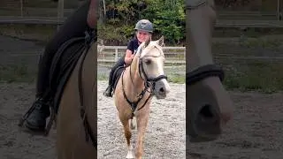 NEW HORSE?😍 Meet Casper❤️ #shorts #horse #equestrian