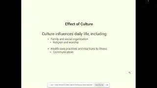 Caring for Culture and Diversity in Healthcare 🌍