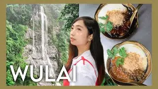 DIY Going to WULAI TAIWAN (Riding Log Cart|Zhongshan Shopping District|Tamsui) Ep.2⎢Shenille Reyes