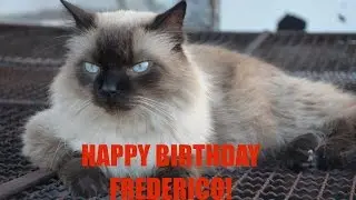 Happy birthday, Frederico the King!