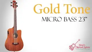 Gold Tone Micro bass 23