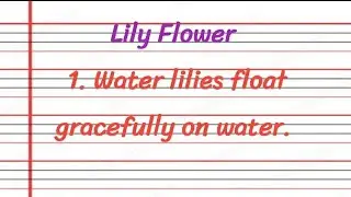 🔴Essay Essay On Lily Flower | Lily Flower Essay | Essay On Lily Flower In English