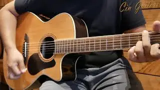 Alvarez AG75CE